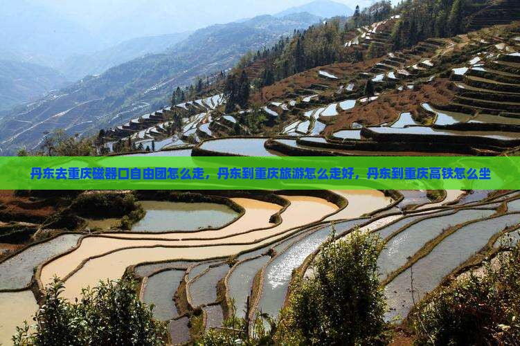 丹东去重庆磁器口自由团