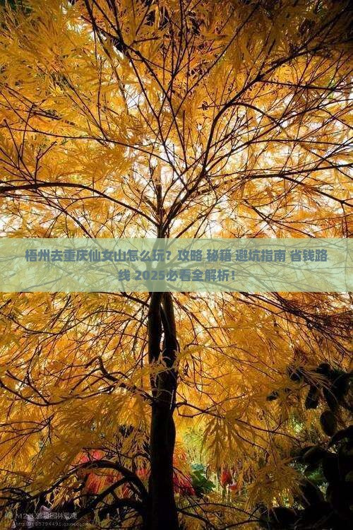 梧州去重庆仙女山哪里玩