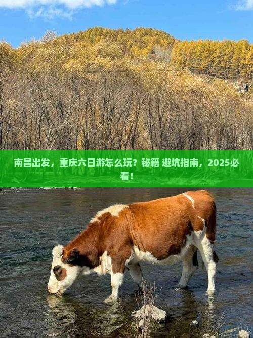南昌到重庆六日游