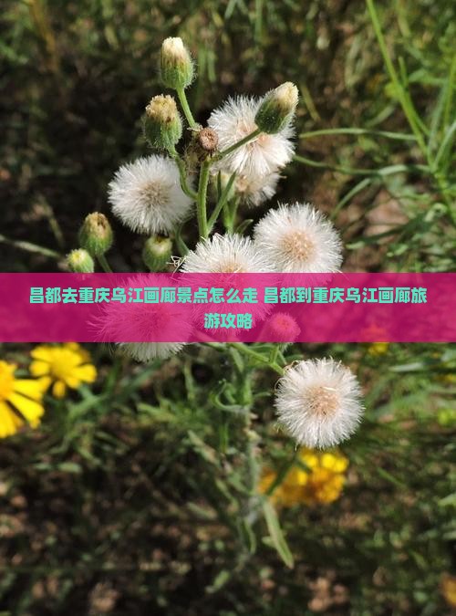 昌都去重庆乌江画廊景点
