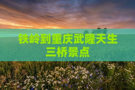铁岭到重庆武隆天生三桥景点