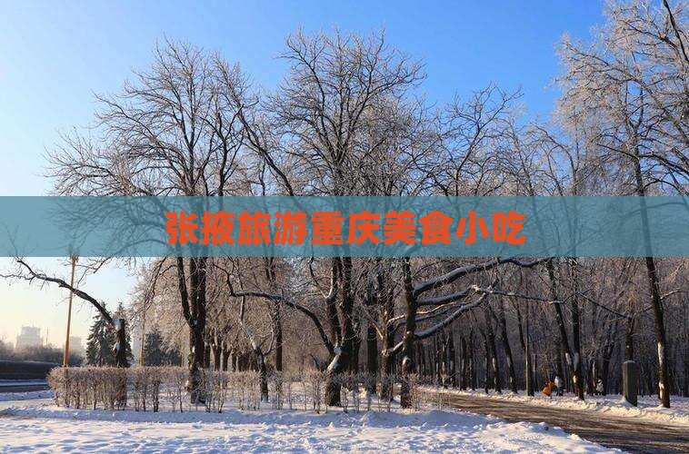 张掖去重庆旅游小吃