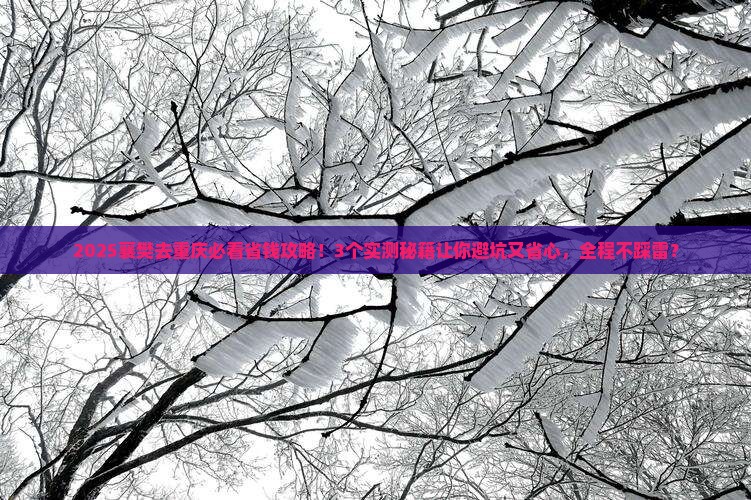 襄樊去重庆攻略