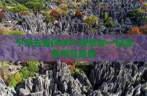 宁波去重庆WFC观景台一日游费用及路线