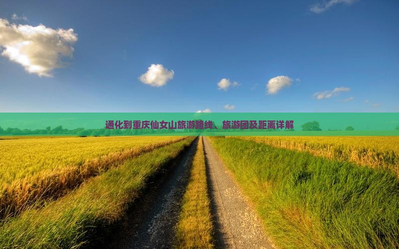 通化到重庆仙女山旅游路线、旅游团及距离详解