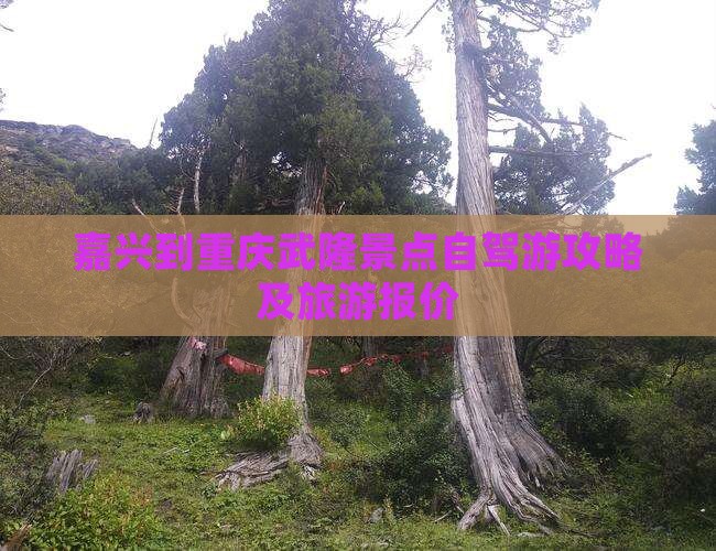 嘉兴到重庆武隆景点自驾游攻略及旅游报价