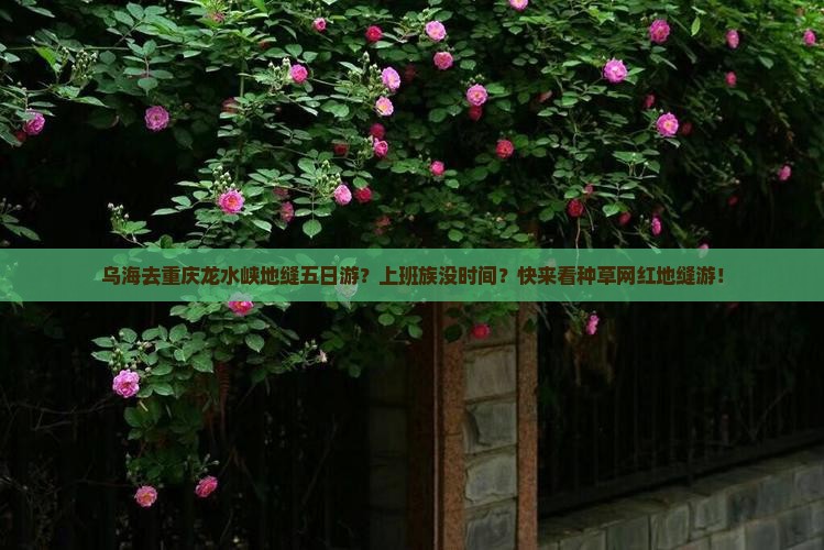 乌海去重庆龙水峡地缝五日游？上班族没时间？快来看种草网红地缝游！