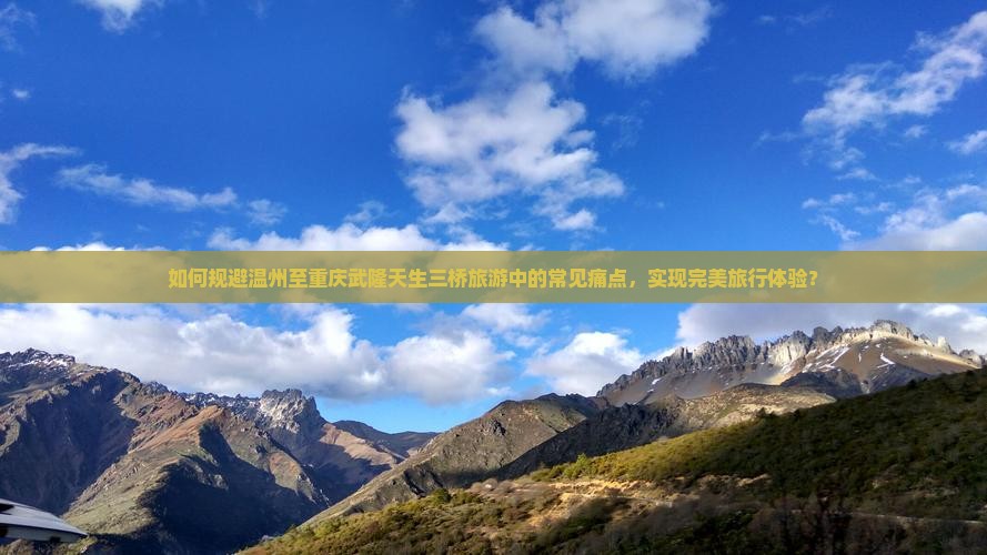 如何规避温州至重庆武隆天生三桥旅游中的常见痛点，实现完美旅行体验？