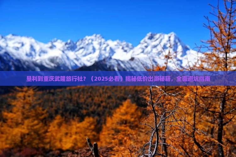 垦利到重庆武隆旅行社