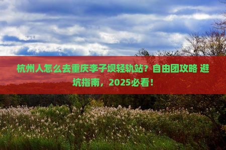 杭州去重庆李子坝轻轨站自由团