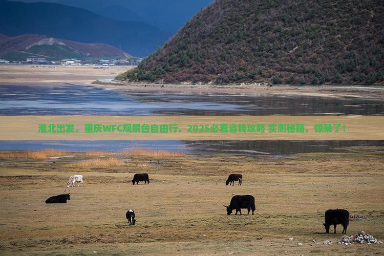 淮北去重庆wfc观景台自由行 淮北去重庆wfc观景台自由行