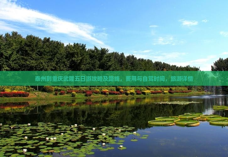 泰州到重庆武隆五日游