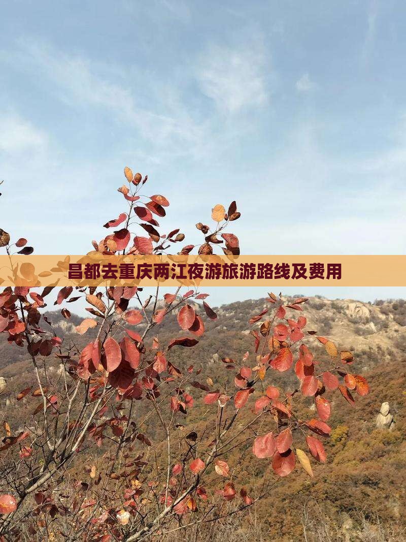 昌都去重庆两江夜游旅游