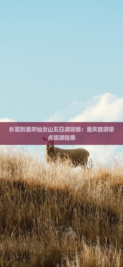 长葛到重庆仙女山五日游