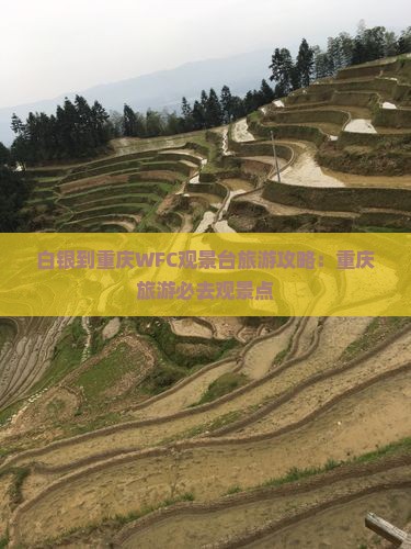 白银到重庆wfc观景台旅游