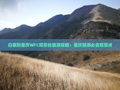 白银到重庆wfc观景台旅游