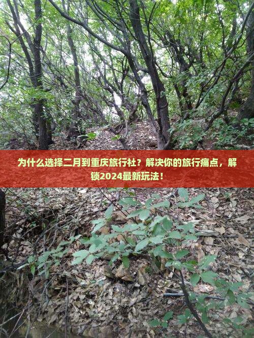 二月到重庆旅行社