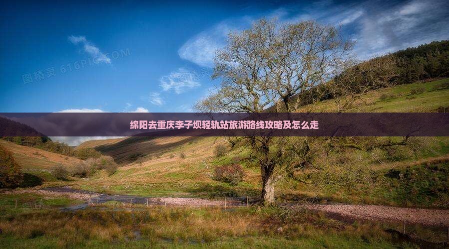 绵阳去重庆李子坝轻轨站旅游