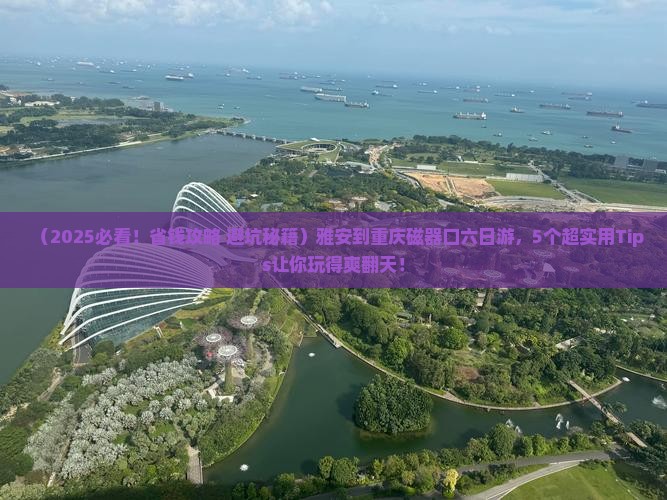 雅安到重庆磁器口六日游