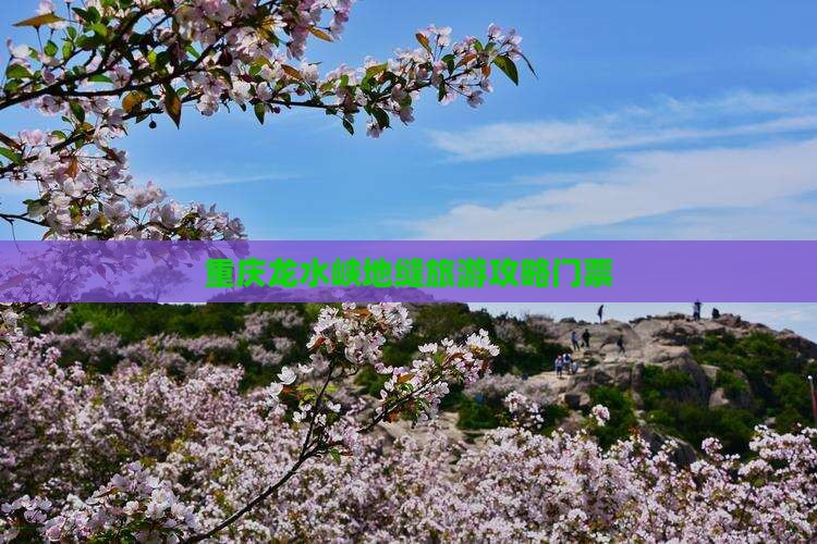 珠海去重庆龙水峡地缝门票