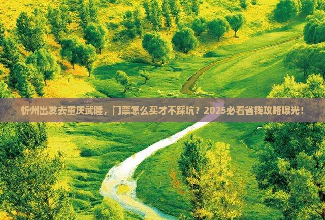 忻州去重庆武隆门票