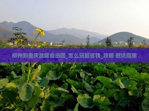 柳州到重庆武隆自由团