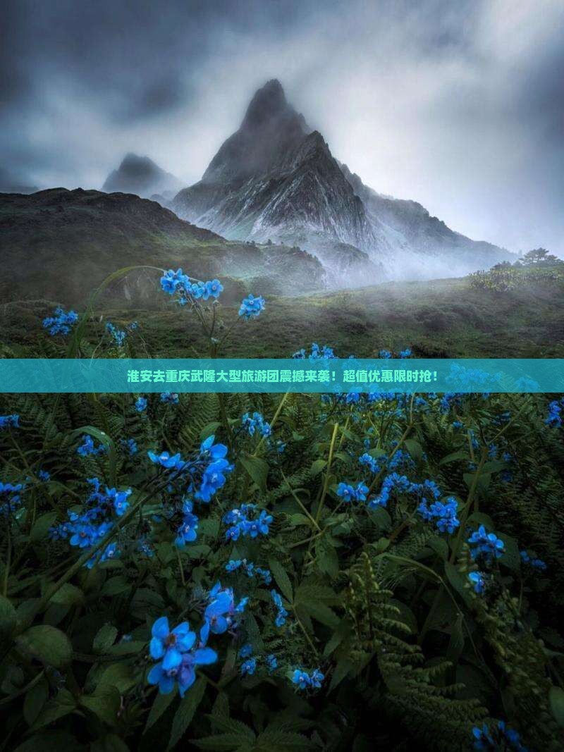 淮安去重庆武隆大型旅游团