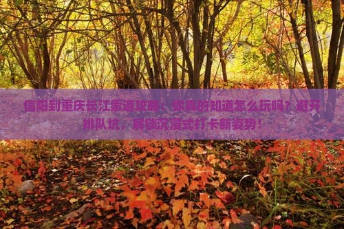 信阳到重庆长江索道攻略