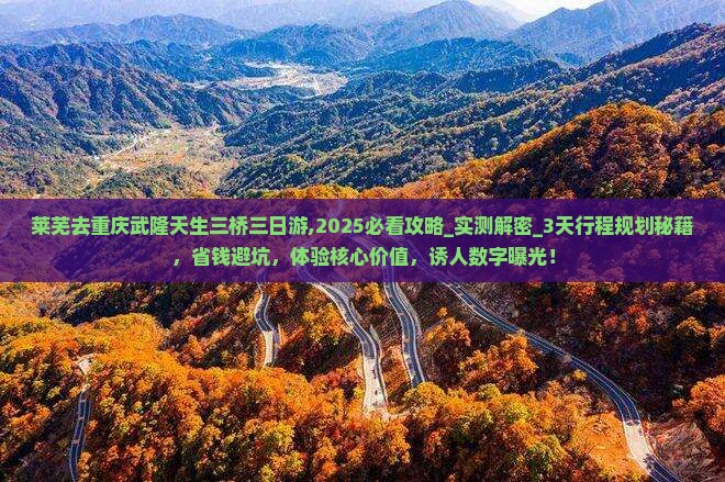 莱芜去重庆武隆天生三桥三日游
