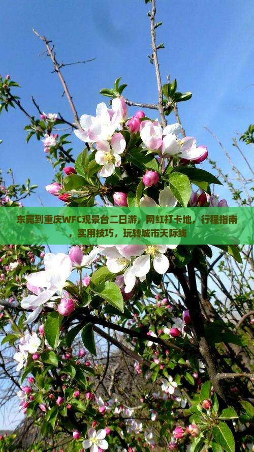 东莞到重庆wfc观景台二日游