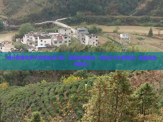 喀什到重庆李子坝轻轨站门票