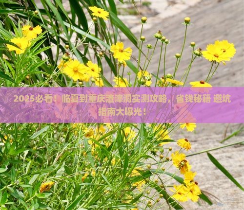 临夏到重庆渣滓洞攻略