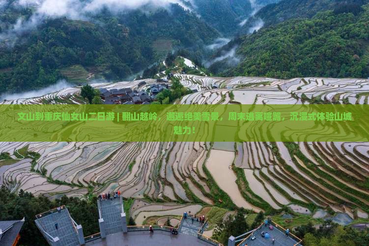 文山到重庆仙女山二日游