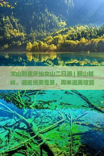 文山到重庆仙女山二日游
