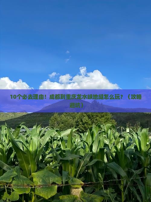 成都到重庆龙水峡地缝必去地
