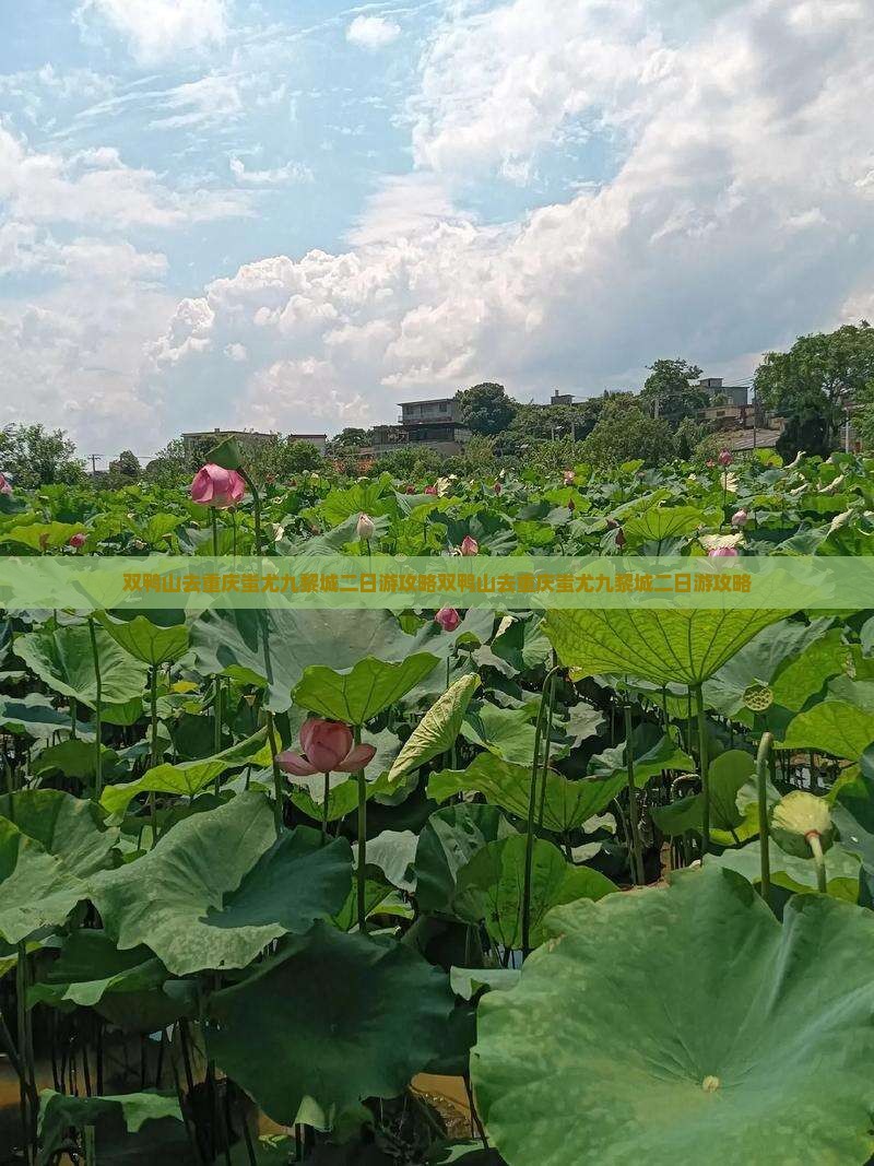 双鸭山去重庆蚩尤九黎城二日游