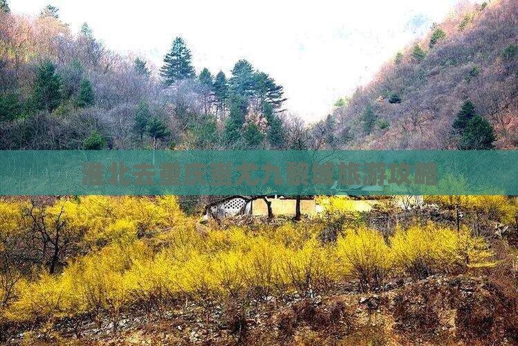 淮北去重庆蚩尤九黎城旅游