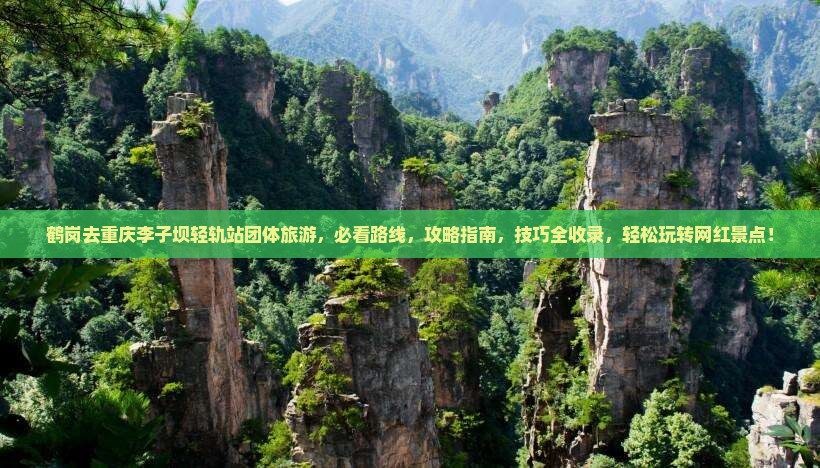 鹤岗去重庆李子坝轻轨站团体旅游