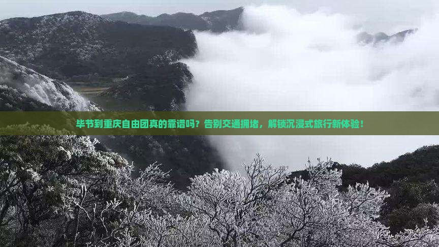 毕节到重庆自由团