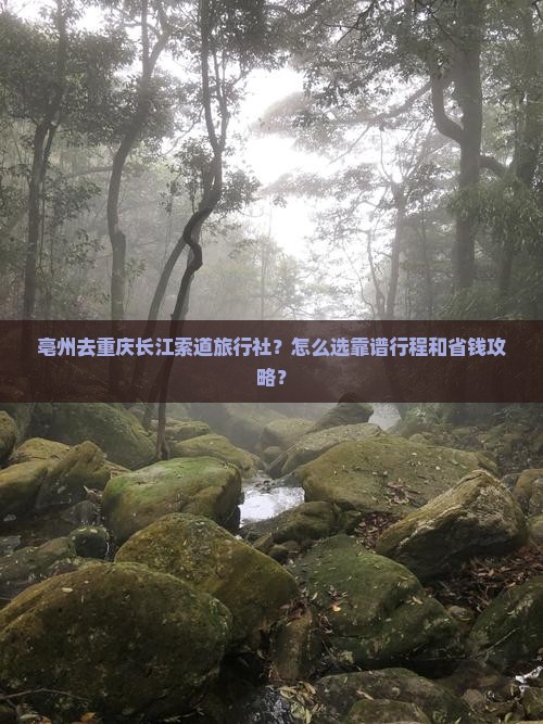 亳州去重庆长江索道旅行社