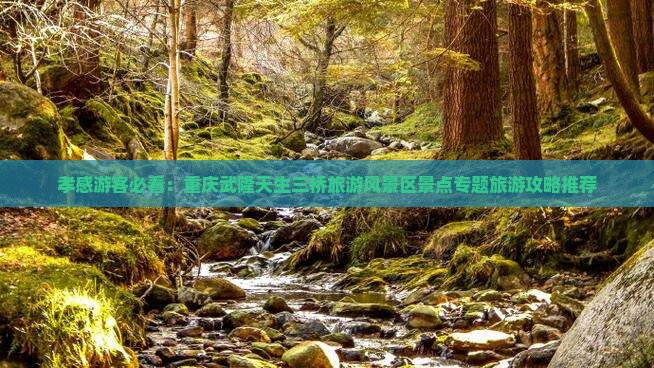 孝感游客必看：重庆武隆天生三桥旅游风景区景点专题旅游攻略推荐