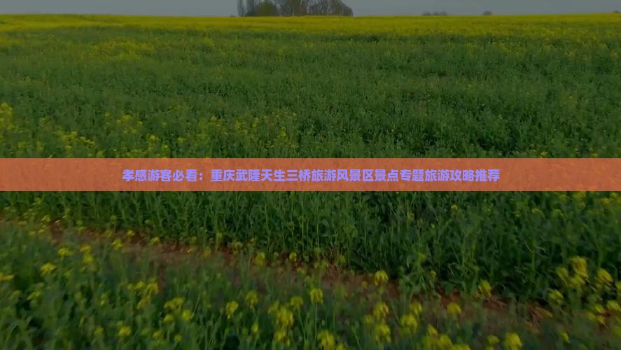 孝感游客必看：重庆武隆天生三桥旅游风景区景点专题旅游攻略推荐