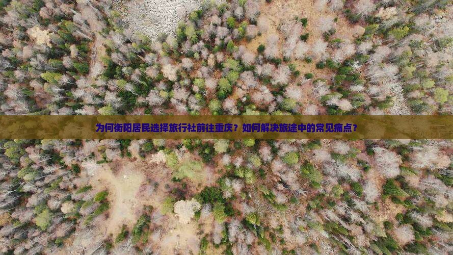 为何衡阳居民选择旅行社前往重庆？如何解决旅途中的常见痛点？