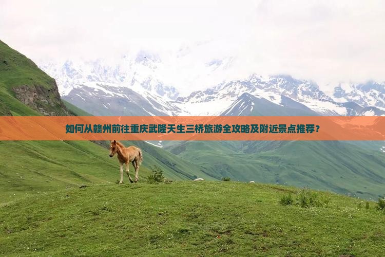 如何从赣州前往重庆武隆天生三桥旅游全攻略及附近景点推荐？