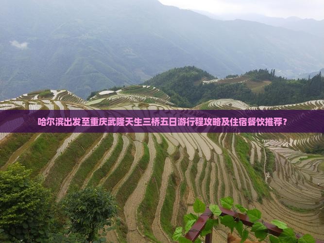 哈尔滨出发至重庆武隆天生三桥五日游行程攻略及住宿餐饮推荐？