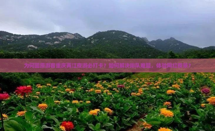 为何固原游客重庆两江夜游必打卡？如何解决排队难题，体验网红夜景？