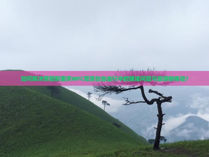 如何解决贵阳到重庆WFC观景台自由行中的拥堵问题与旅游新体验？