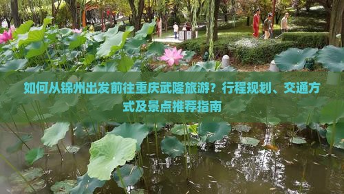 如何从锦州出发前往重庆武隆旅游？行程规划、交通方式及景点推荐指南
