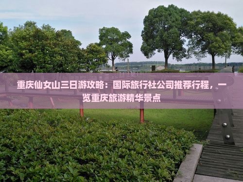 重庆仙女山三日游攻略：国际旅行社公司推荐行程，一览重庆旅游精华景点