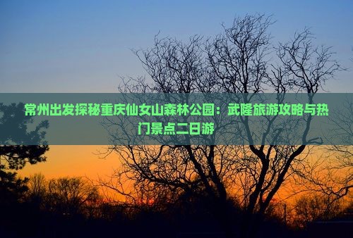 常州出发探秘重庆仙女山森林公园：武隆旅游攻略与热门景点二日游